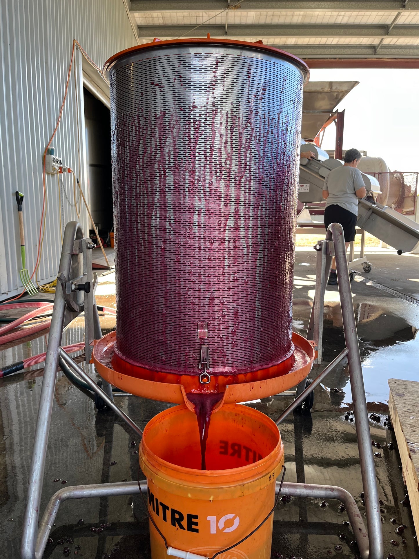 2024 Sangiovese