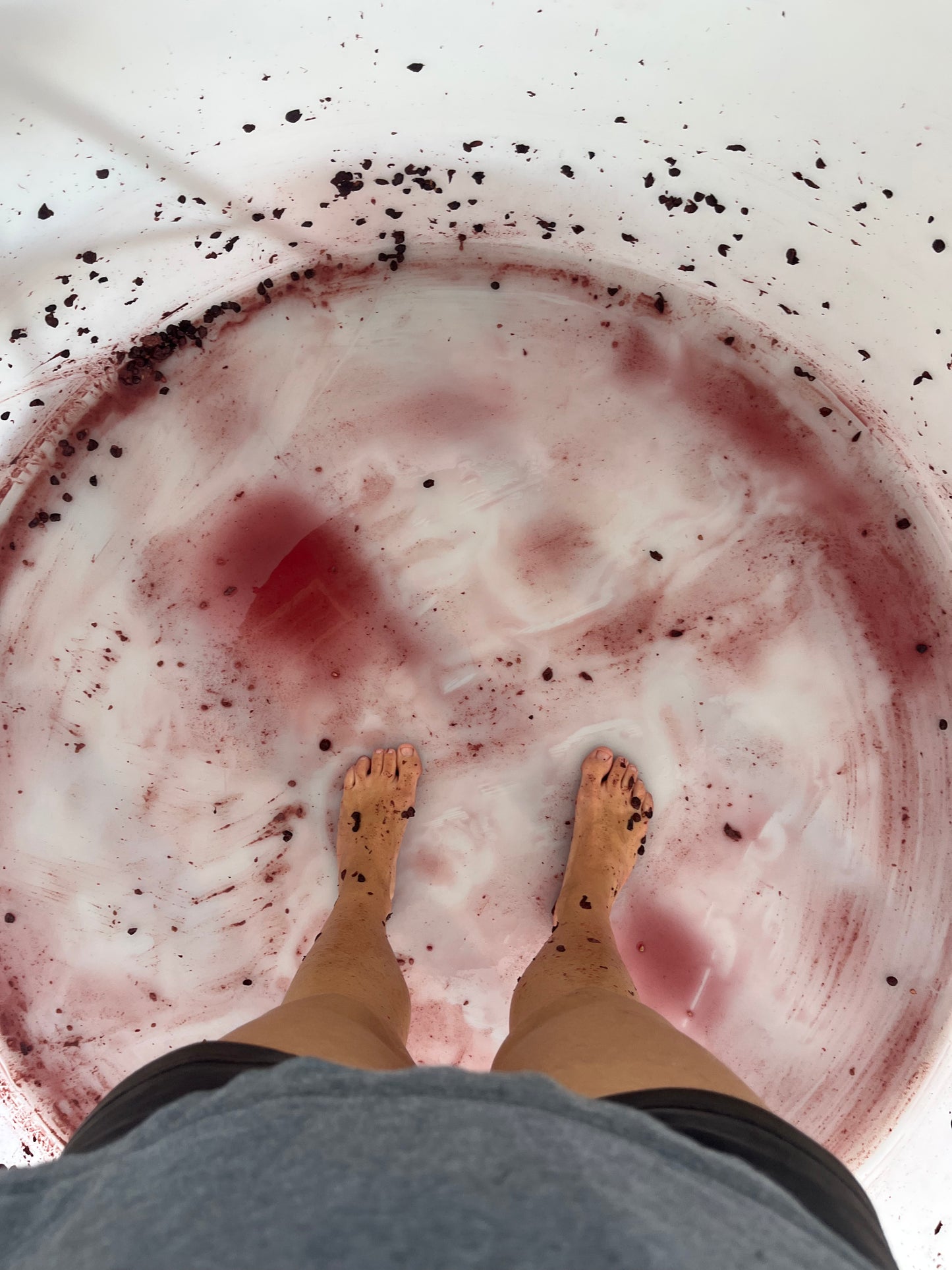 2025 Pinot Noir