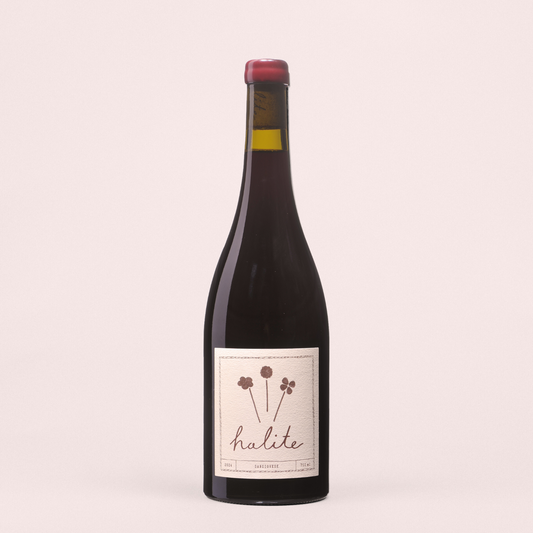 2024 Sangiovese