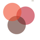 Community Collective Case