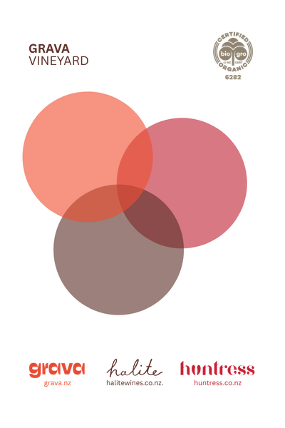 Community Collective Case
