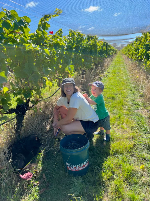 2025 Pinot Noir