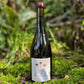 2024 Sangiovese